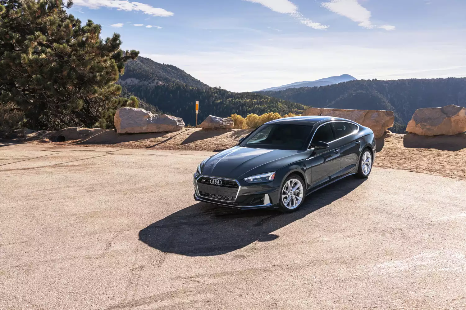 Cairn Terriers back seat cover for Audi A4