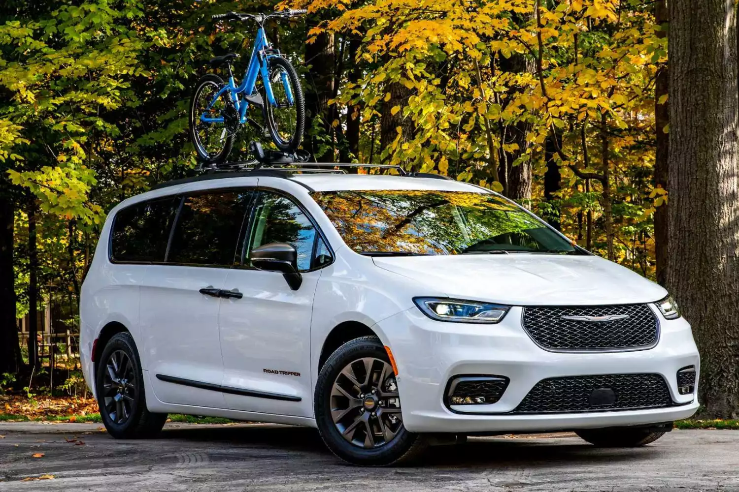 American Staffordshire Terriers back seat cover for Chrysler Pacifica