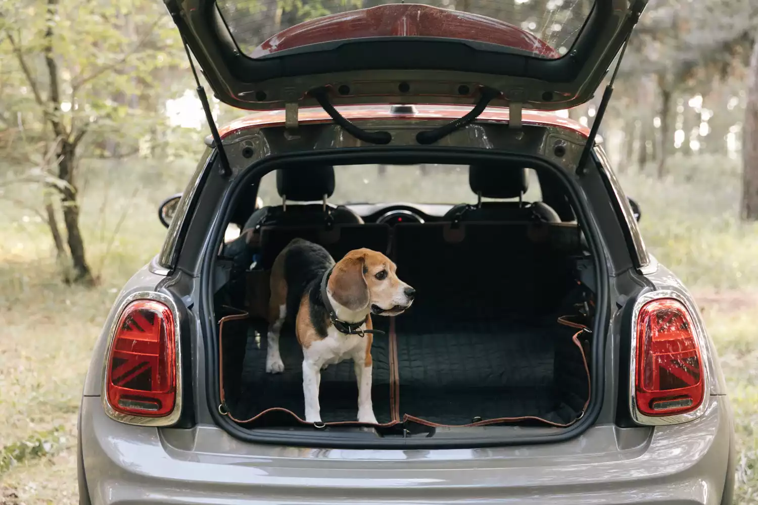 dog back seat cover for Hyundai Santa Fe