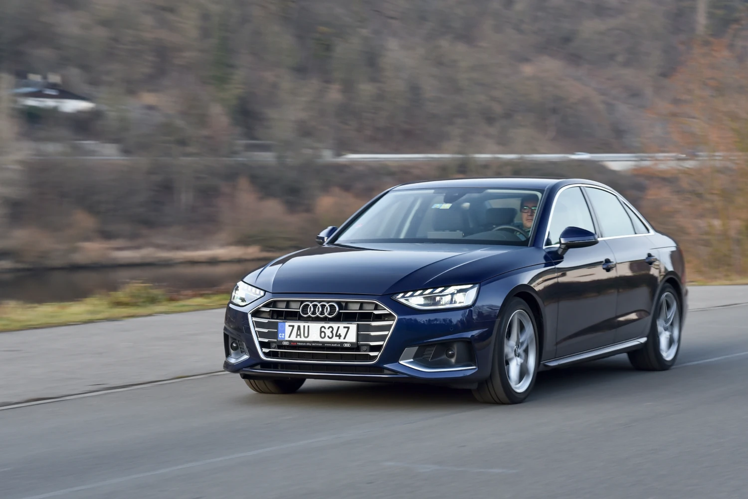 Cotons de Tulear back seat cover for Audi A4