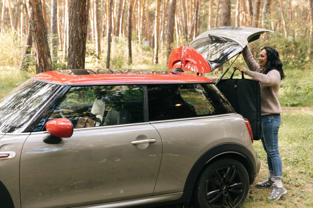 Cotons de Tulear back seat cover for Audi A4