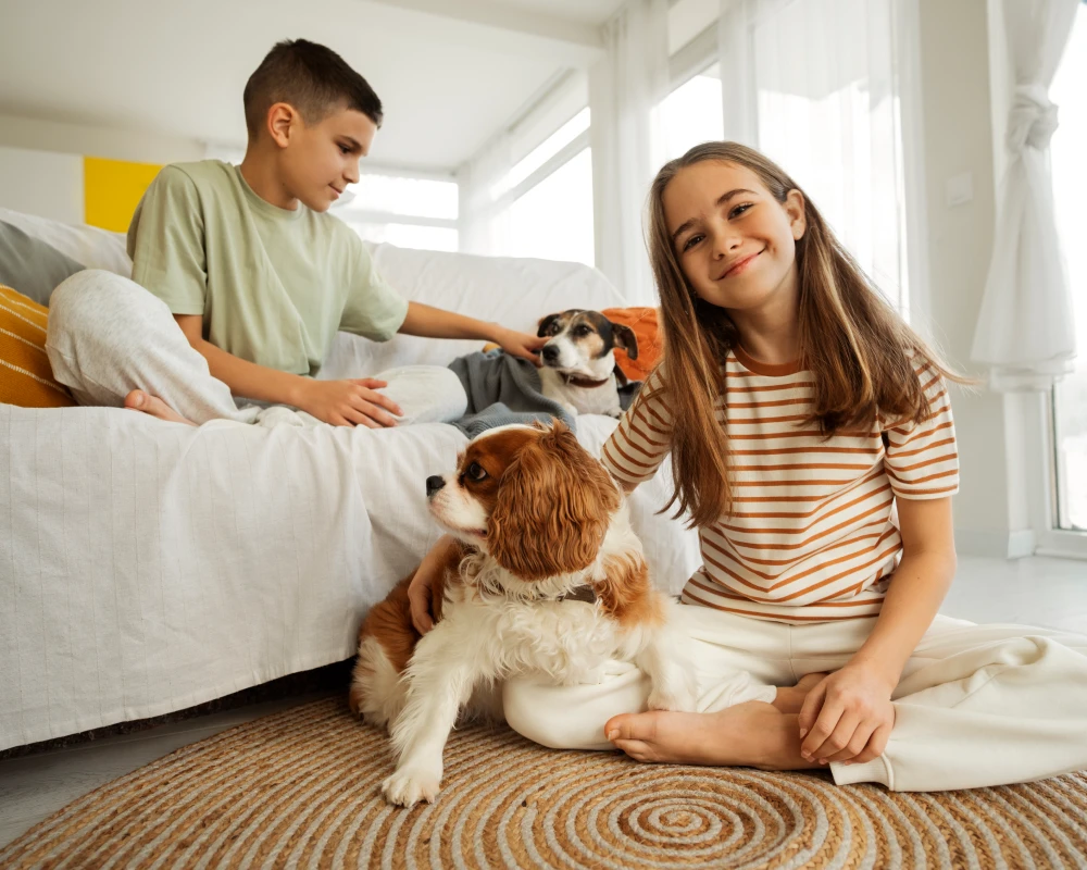 best automatic pet feeder for cats